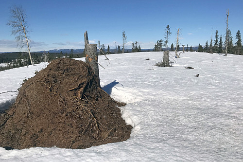 Kjeltåsberget