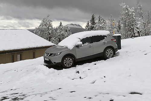 Nattens nysnø