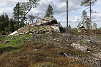 Stabbe_20190604_5cf6df4d638f6.jpg