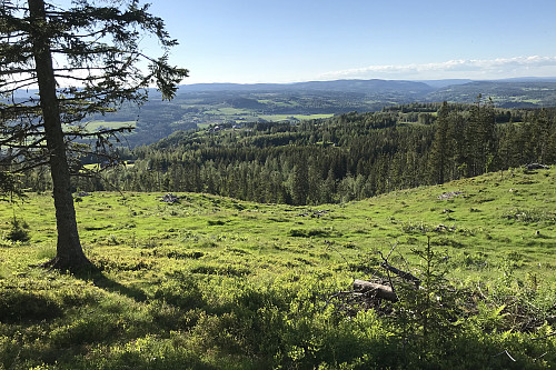 Utsikt fra Berget øst til Brumunda