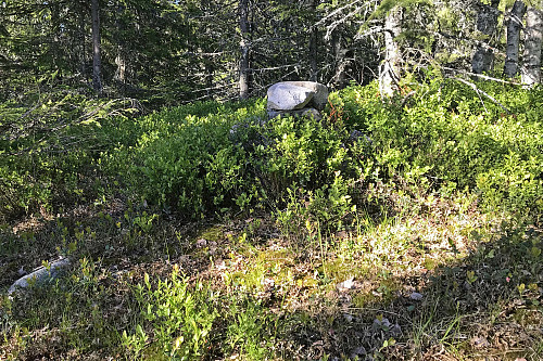 På toppen av Høsbjørkampen (Duåsen)