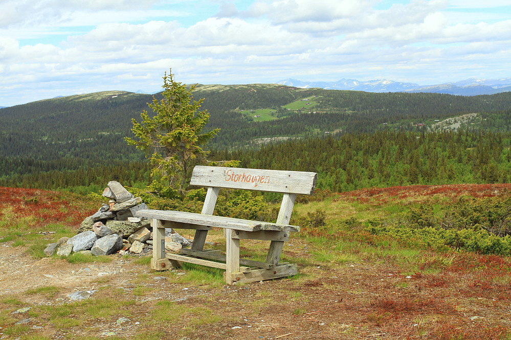 Storhaugen