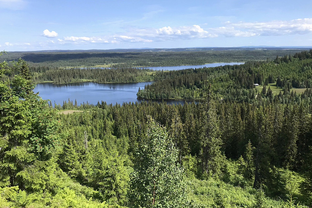 Store og Midtre Svarken