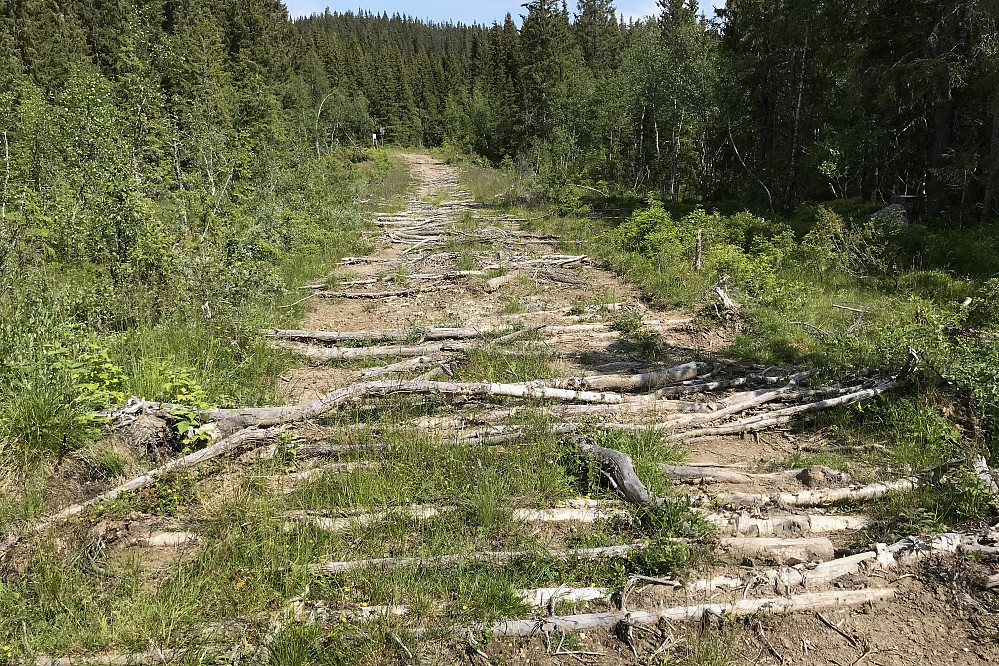 Vegen videre til Amundsvelia var forbeholdt traktorer og skiløpere