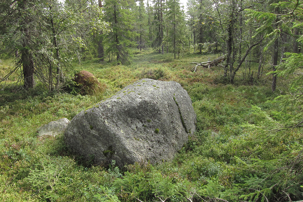 Kartstenen øst for Rødsetervollen