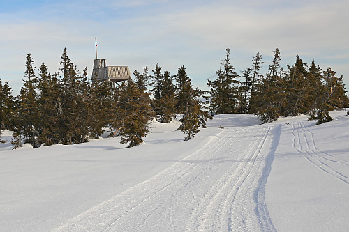 Gitvola
