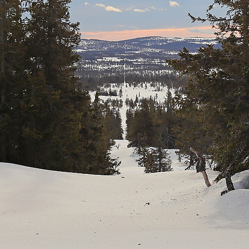 På Synsåsen