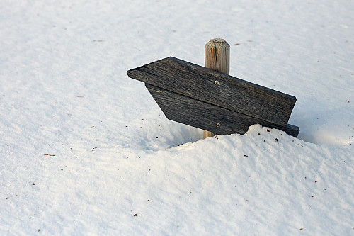 Brennsæteråsen