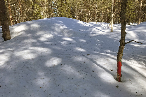 Joberget