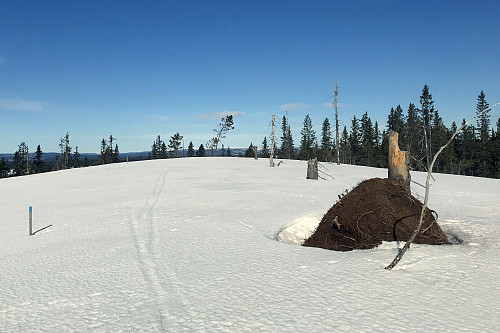 Kjeltåsen