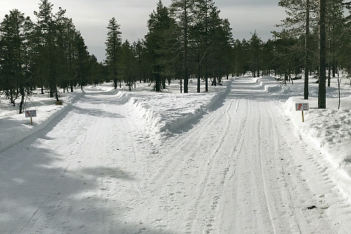 Hundeløypene