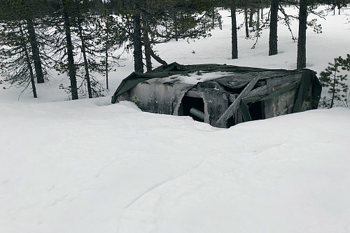 For tidlig med orrhanelek nå