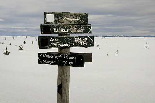 Birkebeinerløypa