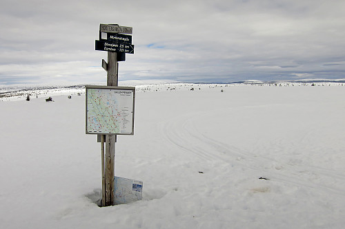 Mortenshøgda