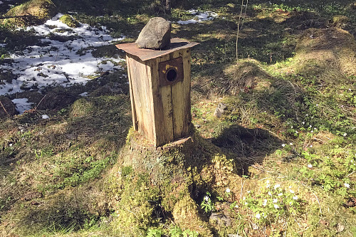 Langs gamlevegen i Østre Skogbygd
