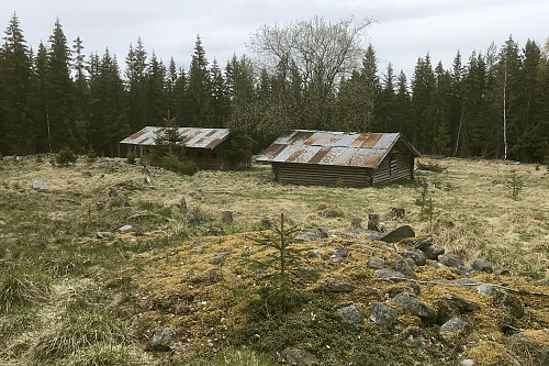 Baståskoia
