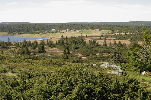 Snultra og Agntjernet