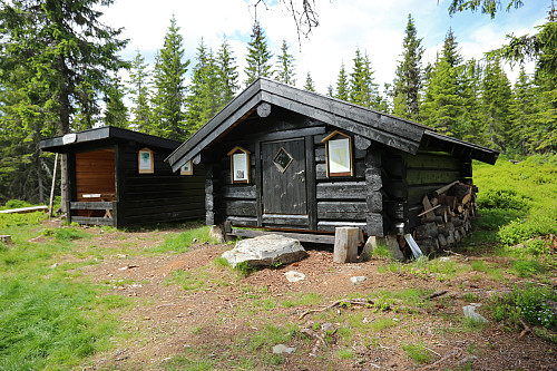 Rauskjørkoia