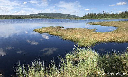 Yksensjøen med Gitvola i bakgrunnen