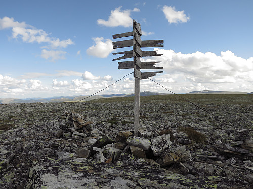 Værhardt på toppen