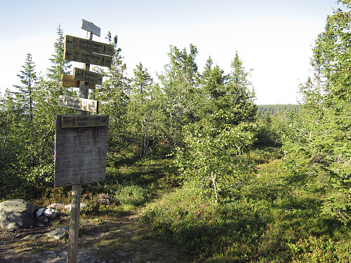 Kollmyrkmpen
