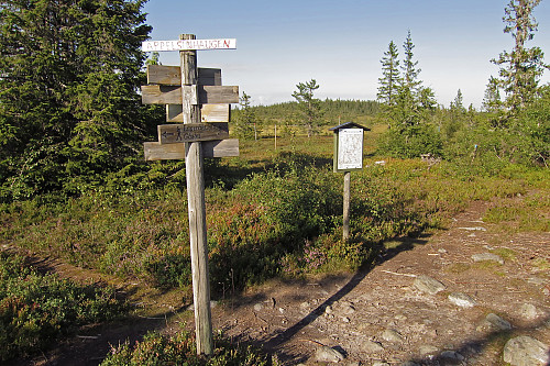 Appelsinhaugen