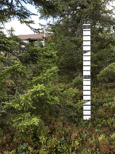 Snødybde 0 cm ved Stenfjellhytta