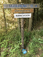 Stabbe_20200825_5f450b6e24f44.jpg