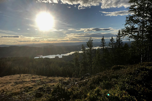 Næra på nedturen