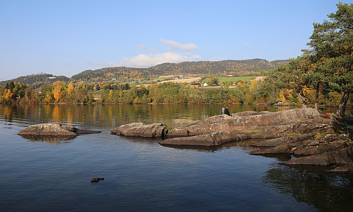 Smestadvika