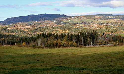 Ring og Amlisberget