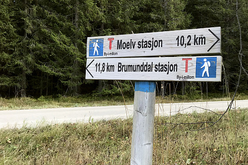 Skiltet ved Storlidammen