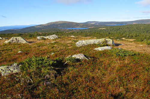 Høgfjellet