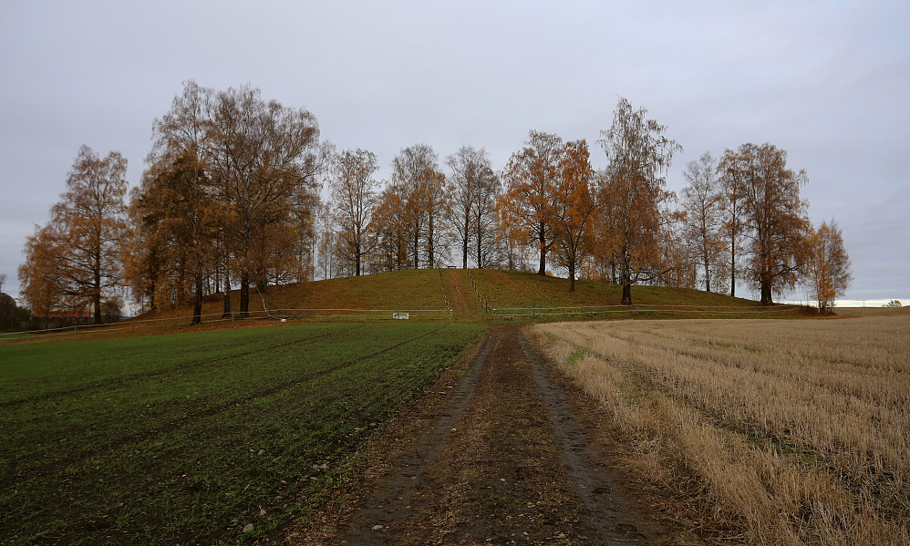 Gravhaugen på Lalum