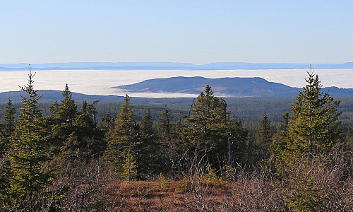 Høsbjørkampen