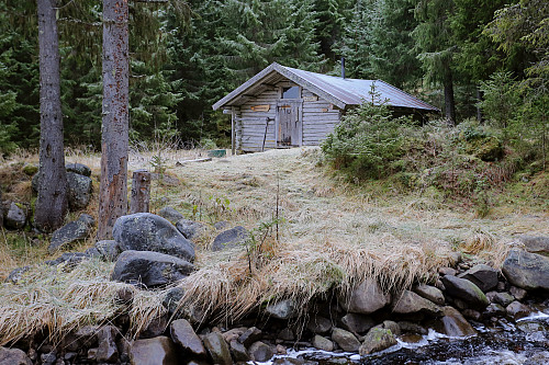 Bekkeoskoia