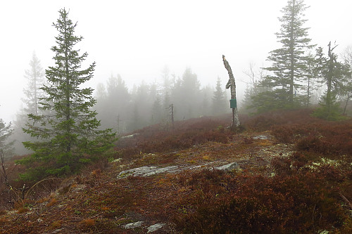 Grasberget