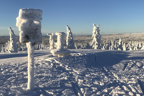 Målifjellet med sikteskiva