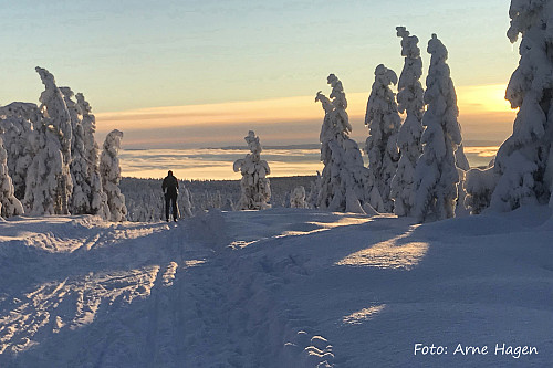 Appelsinhaugen er ingen ordentlig topp, men en veldig fin haug.