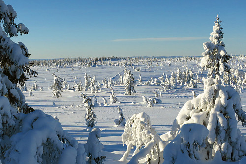 Stenfjellet