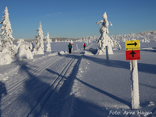 Stenfjellrunden
