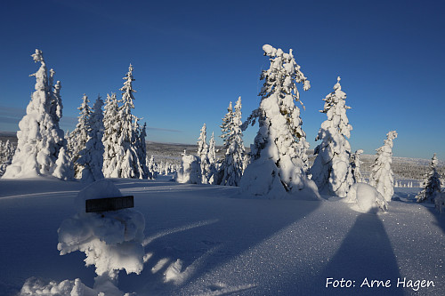 Gråberget