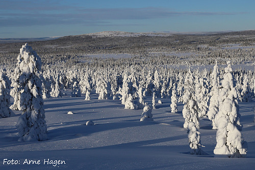 Idyll mot Brumundkampen