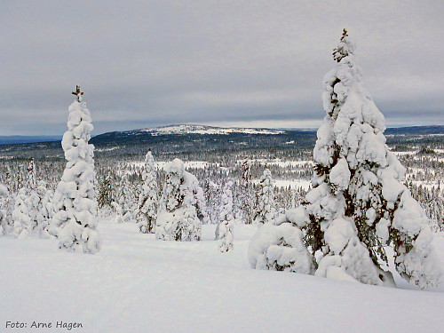Brumundkampen sett fra Gråberget