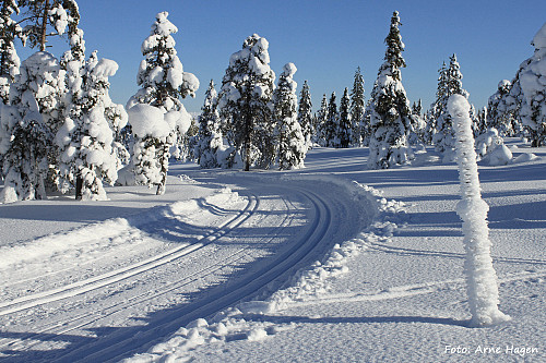 Her går morgendagens Stenfjellrunde.