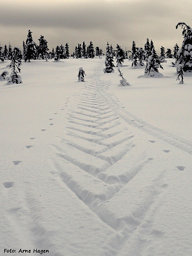 Skispor i retning Gråberget