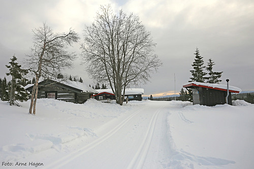 Lageråkvisla