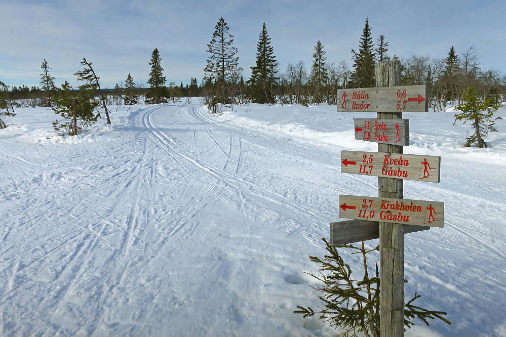 Målikrysset