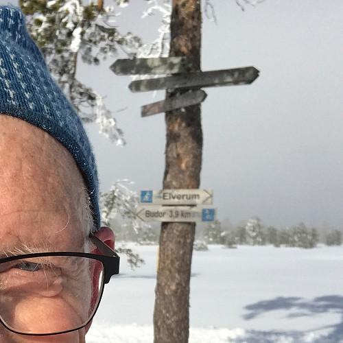 Løypekrysset ved Savalsæterhøgda