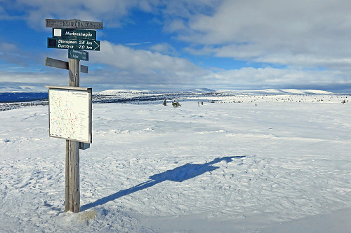 Mortenshøgda med Øyungsfjella i bakgrunnen